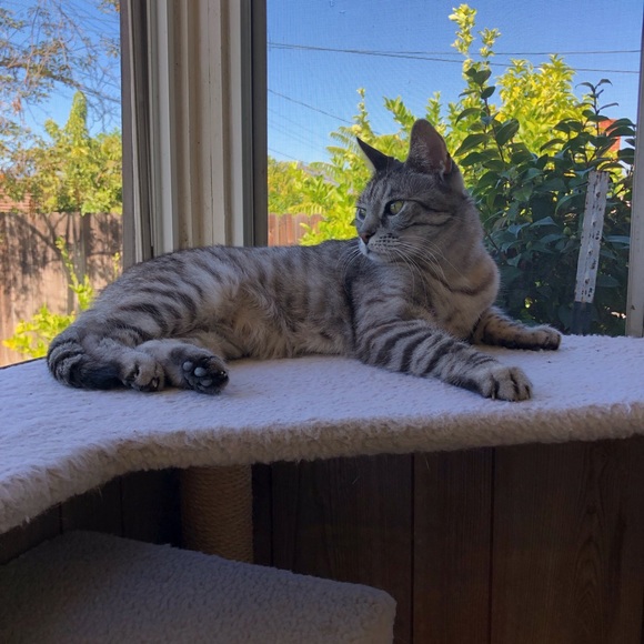 Meet your Posher, Julie - Picture 6 of 16